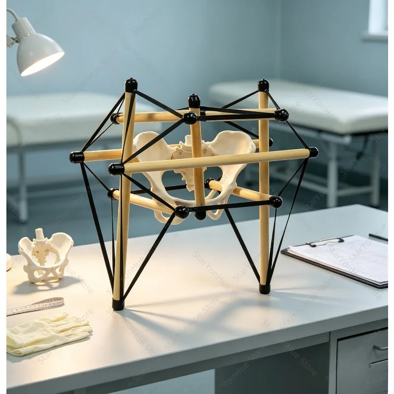 Pelvic Fascia Tension Model, Anatomy Trains Structural Integration Tensegrity Teaching Aid For Rehabilitation Anatomy Learning