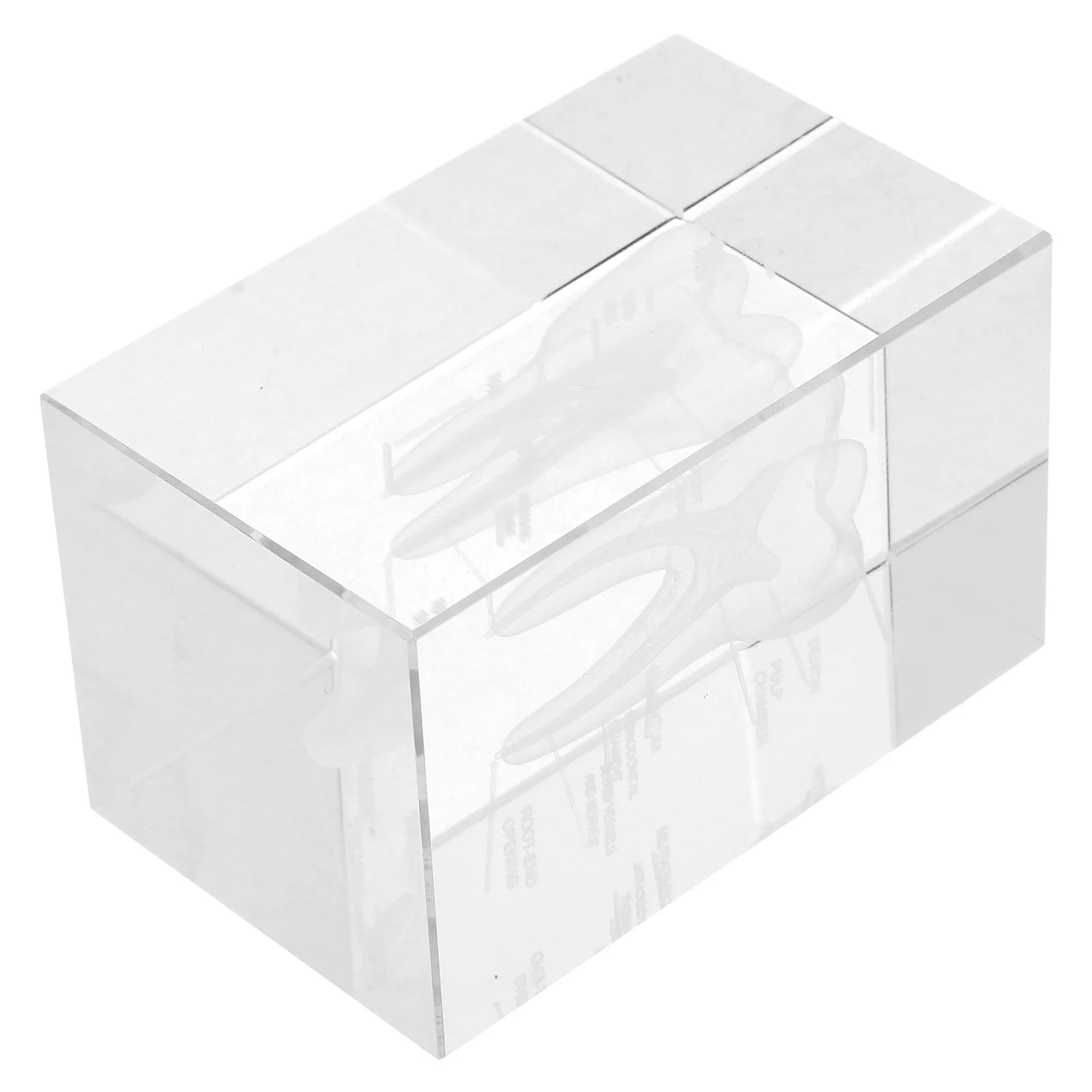 

3D Human Tooth Anatomy Internal Engraving Crystal Cube Paperweight Medical Educational Office Decor Crystal Human Tooth Model