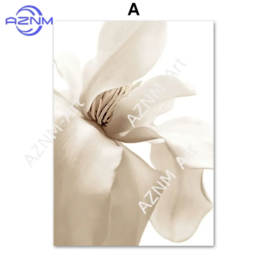 1Pc Scandinavian Simple Wall Art White Seashells Beach Flowers Dandelions Canvas Poster Prints Home Bedroom Living Room Wall Art