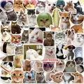 B 50pcs
