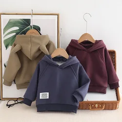 New autunno inverno Infant Baby Boys felpa Plus Velvet addensare Warm Kid Boys felpe con cappuccio Loose Sticker Soft Toddler Boy pullover