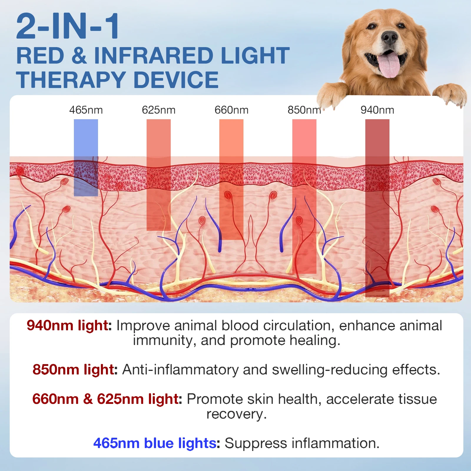 การรักษาด้วยเลเซอร์เย็นดักแด้สำหรับสุนัขรักษาโรคติดเชื้อในหูการบำบัดด้วยแสงสีแดงสำหรับสุนัขข้อต่อข้ออักเสบ Relief ปวด UV แบล็กไลท์