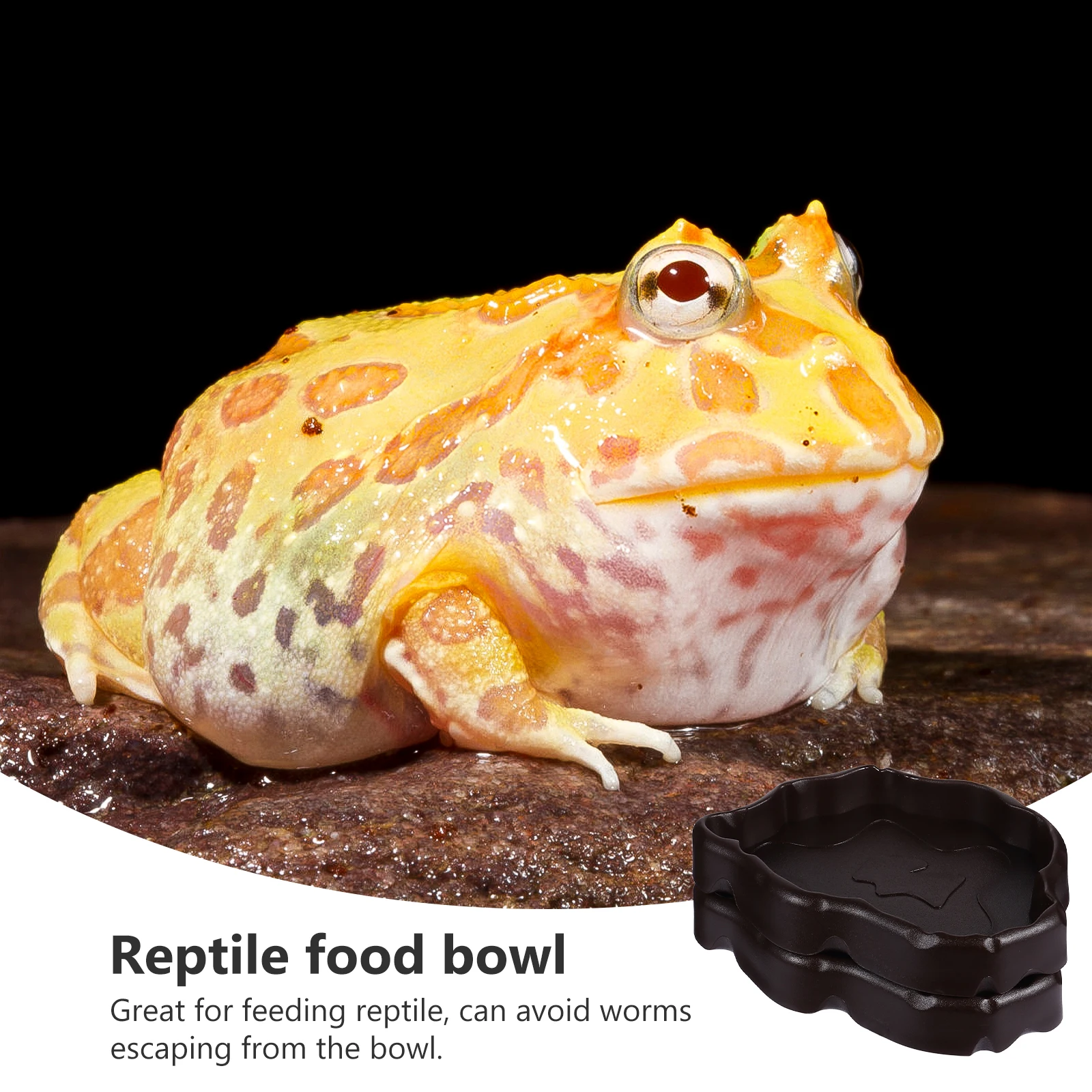 

2Pcs Reptile Feeding Bowls Solid Nonporous Water Dish for Lizard Gecko Turtle Iguana Pet Cage Feeder Feeding Bowl