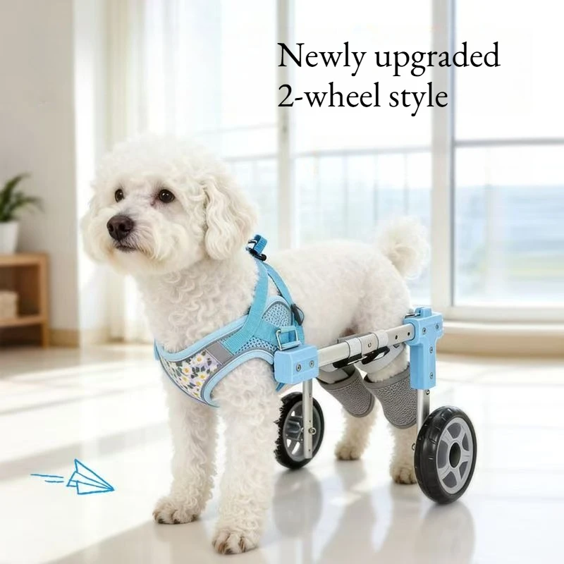 Thumbnail 3 - #29 Trending Pet Agility Equipment Right Now