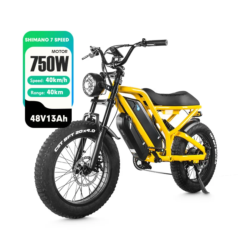 European Warehouse 20-inch 40KM Electric Motorcycle Integrated Wheel Fat Tire Electric Snowmobile Off-road Power Bike