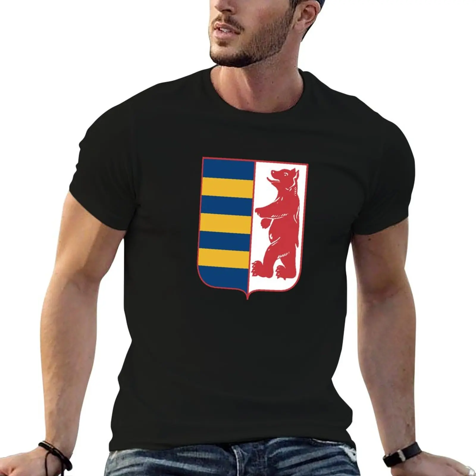 

Coat of arms of Rusyns, based on the coat of arms Subcarpathian Rus T-Shirt cotton tshirt 100% T-Shirt