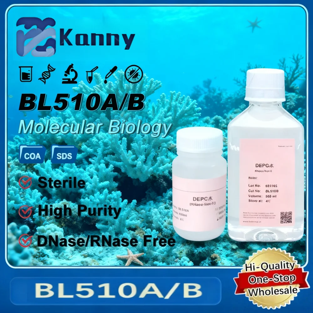 BL510A/B DNase RNase Free Water for RNA Reverse Transcription siRNA Annealing Experiments Enzyme Free Water for Lab Use