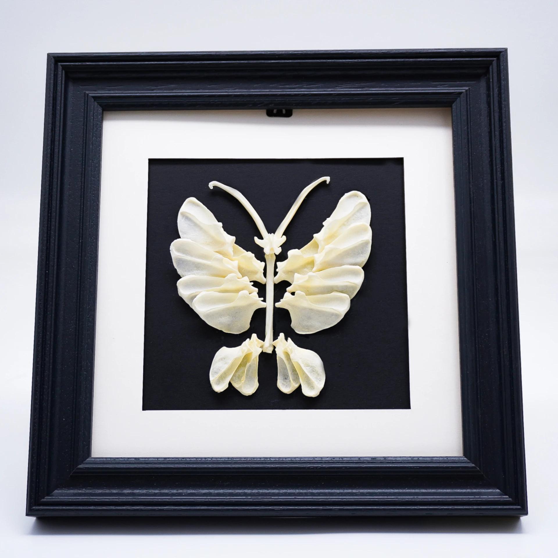 

Bone Art Butterfly Framed Decoration Wall Art Desktop Decoration