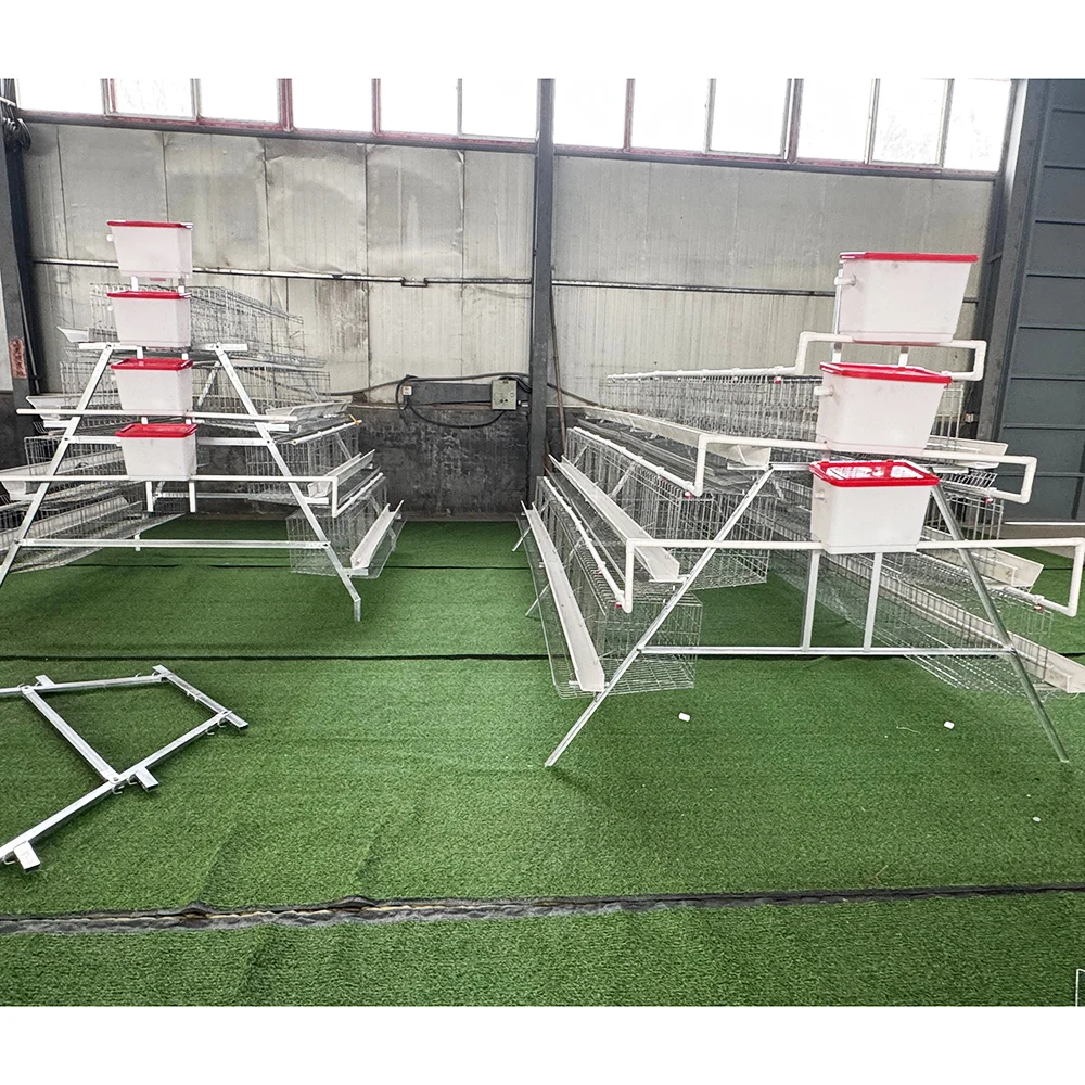 Best Quality Type-A 3 Tiers 96/120 Birds Egg Layer Chicken Battery Laying Hen Cages for Poultry Chicken Layer