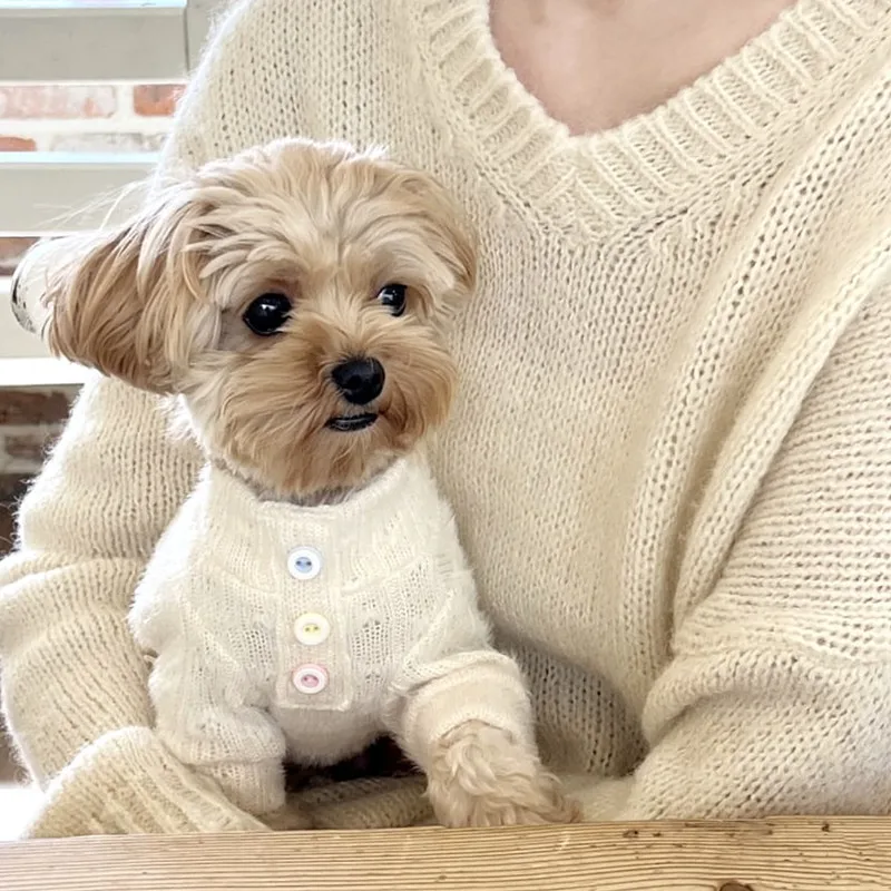 Autumn and Winter Pet Knitted Sweater Teddy Cat Yorkshire High Neck Sweater Cute Base Sweater Puppy Clothes