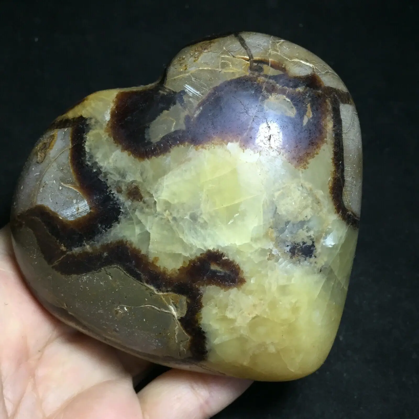 

Natural Heart-shaped Turtle Back Stone With Gem Aura For Healing