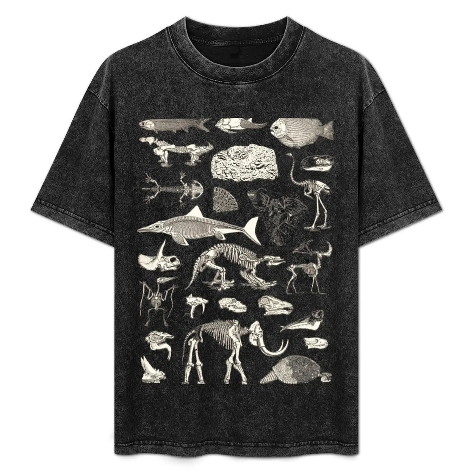 Paleontology Illustration T-Shirt Modern Style Print T-Shirt