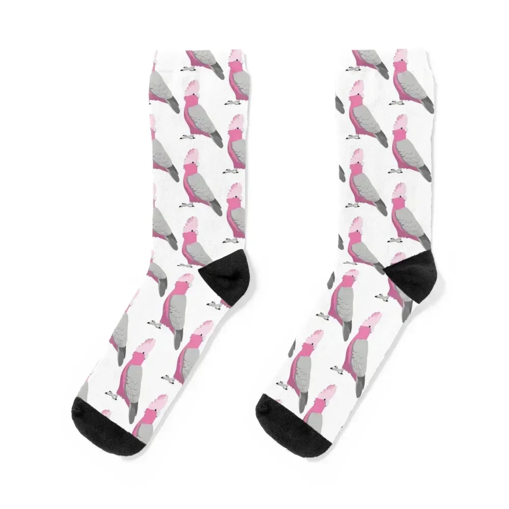 Galah Socks christmas stocking sheer Men Socks Women's