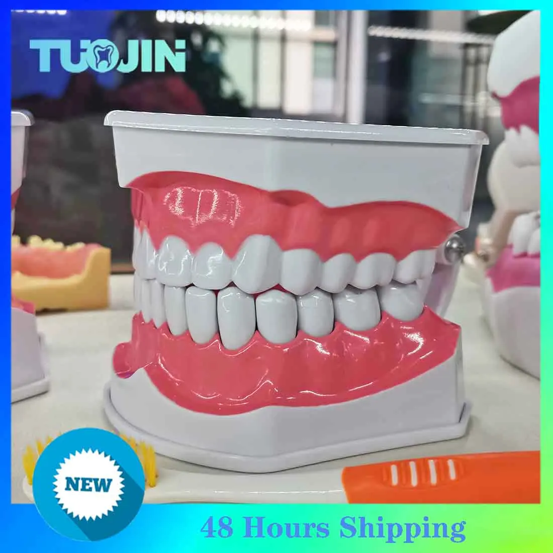 

Teeth Model for Kids - 2 Times Teeth Model Large Teeth Model with Toothbrush Oversized Dental Model for Teeth Brushing
