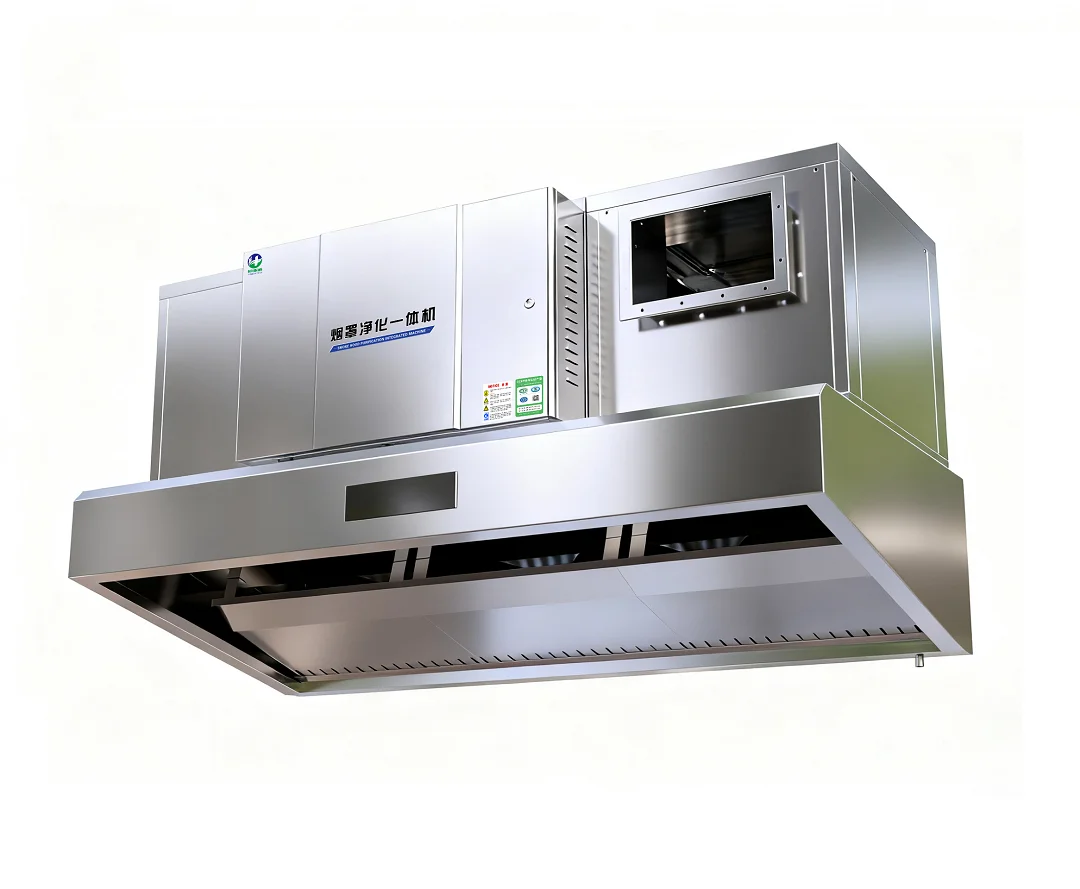 Cappa Aspirante Intelligente p - Commercial Kitchen Hood Design recensione e prezzo