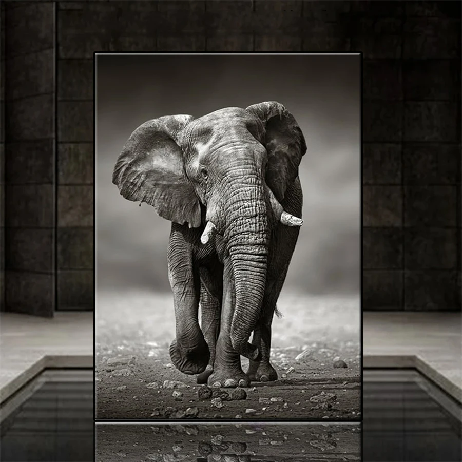 Pieno quadrato rotondo trapano moderno in bianco e nero animale arte elefante diamante mosaico ricamo pittura diamante 5D fai da te