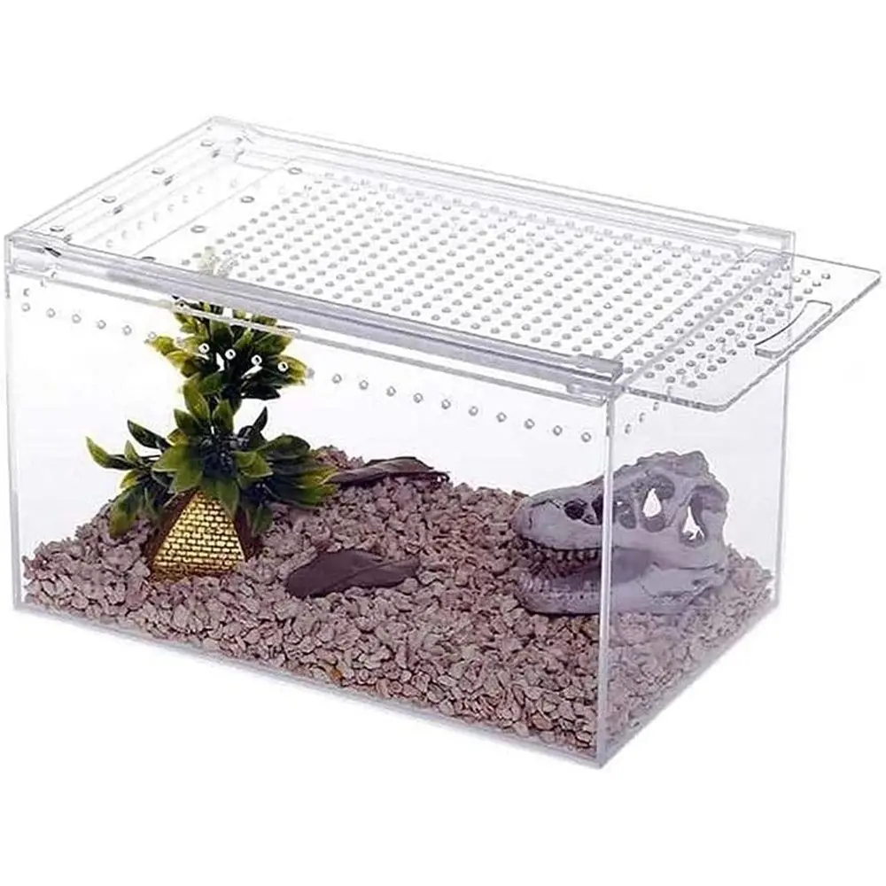 

Clear Glass Reptile Habitat, 20x15x10cm for Snakes, Turtles, and Lizards