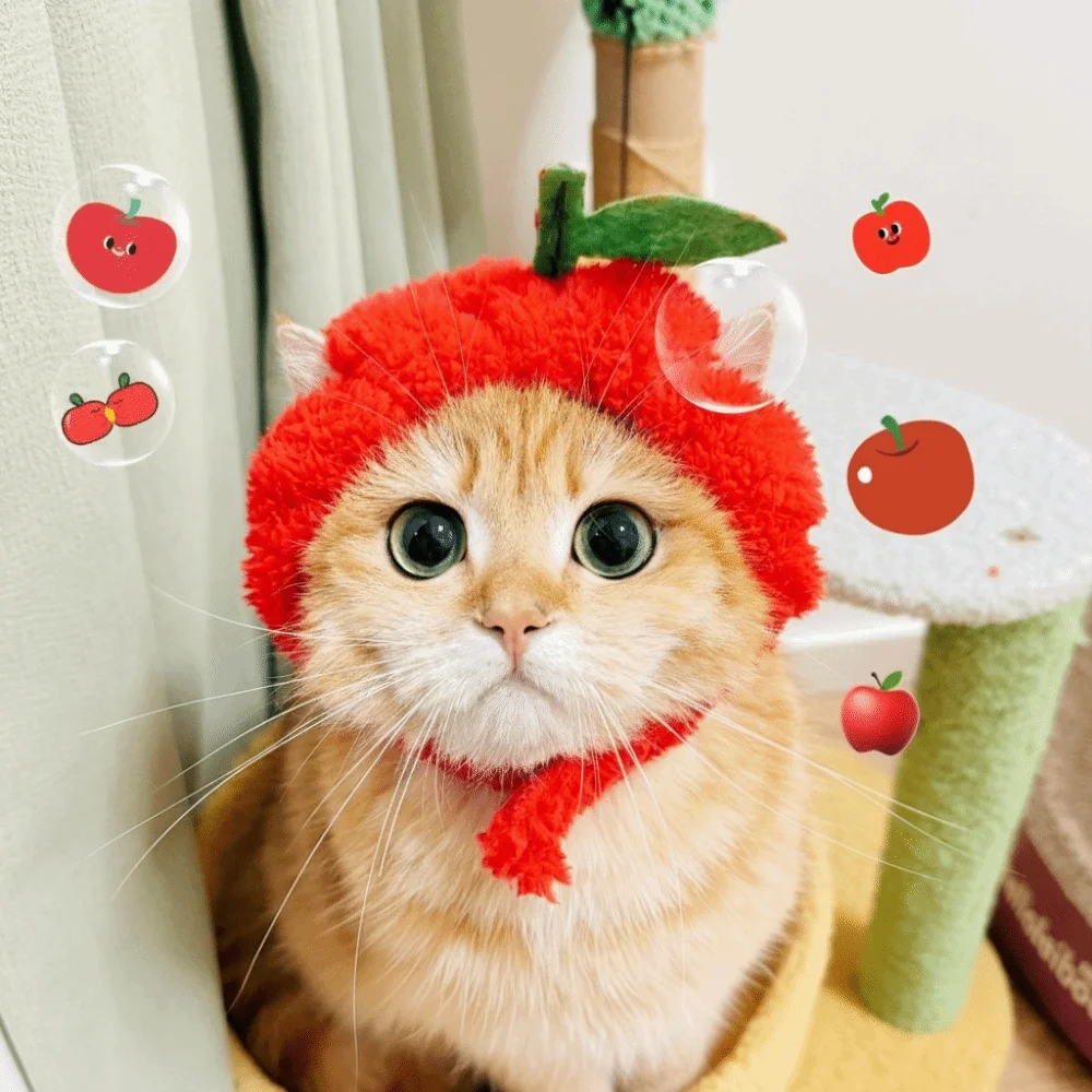 

Милая регулируемая декоративная шапка для кошек в виде мультяшной акулы/рыбы, теплая, для фотосессий