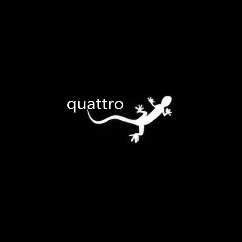 quattro lizard
