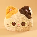 calico cat