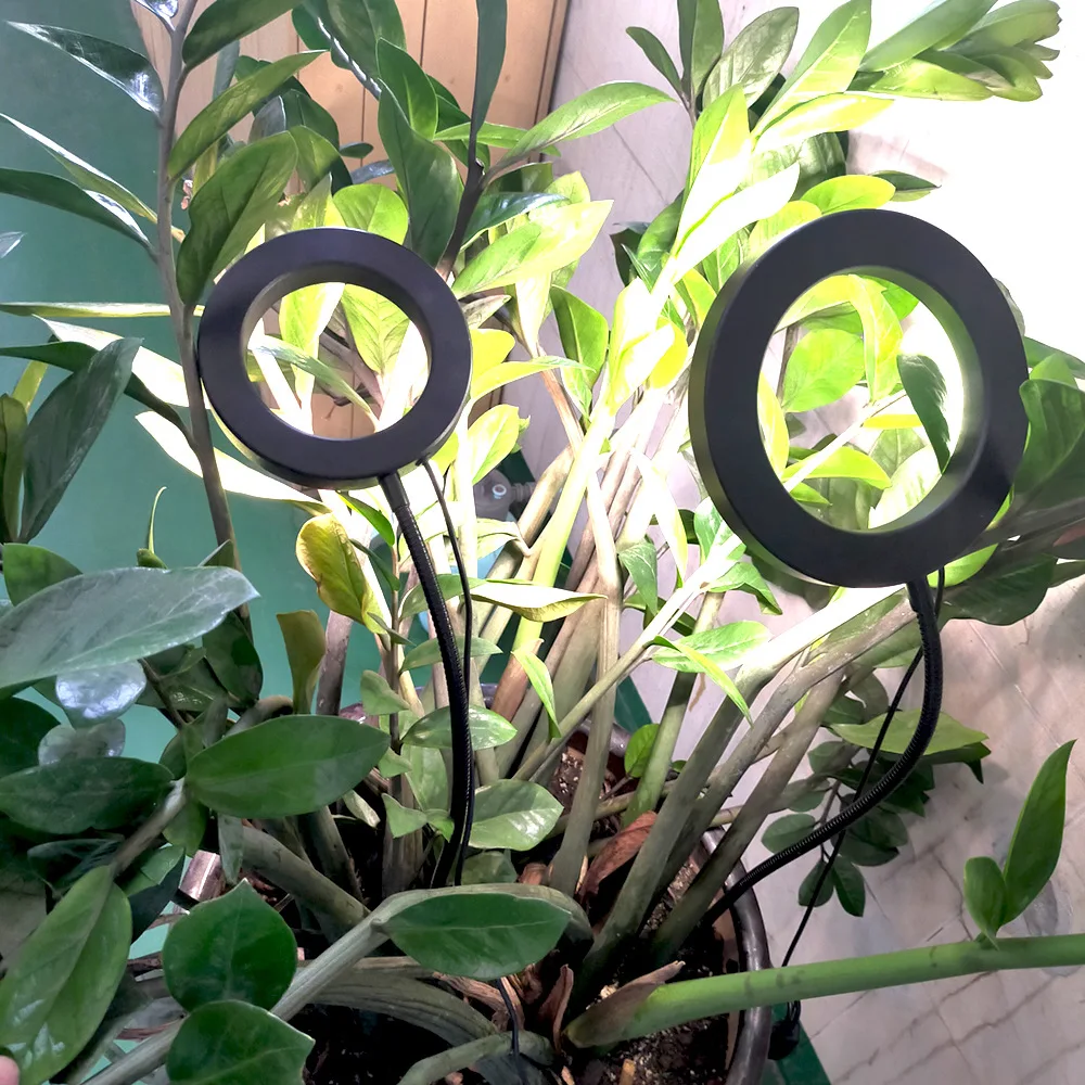 

New LED Floor Plant Growth Light Full Spectrum for Succulents Potted Plants Indoor Garden Illumination Lighting Fixture