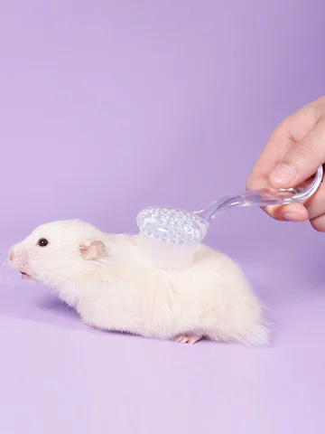 애완 동물 목욕 브러시, 부드러운 마사지, 빗질하기 쉽고 샤워 젤과 함께 사용, 건식 및 습식 모두에 적합, 1 개