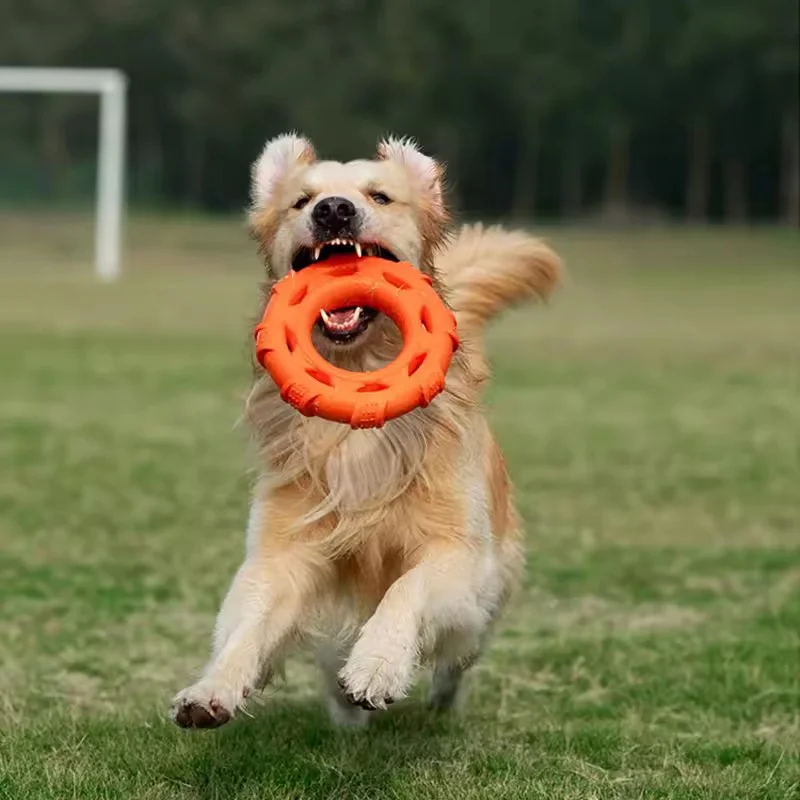 لعبة قرص طائر للكلاب مع حلقة س - مراجعة Flying Disc Dog Training Toy وسعره