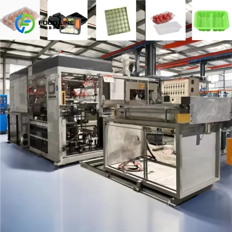 Customized Automatic PVC/PET/PP Food Storage Containers Egg Tray Making Machine Bearing Vacuum Forming Technology