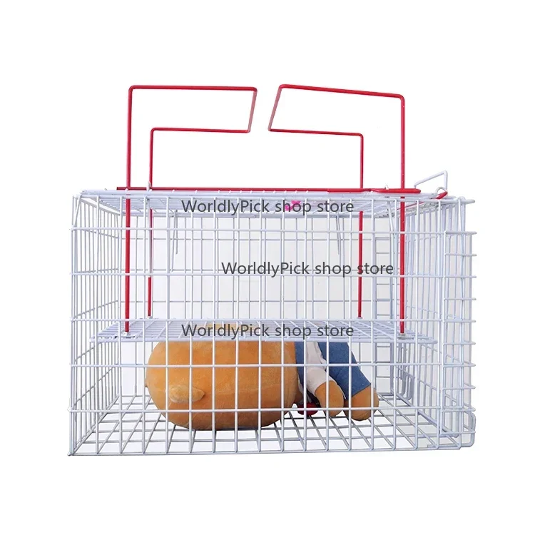 PET Best Selling Cat Injection- Cage High Quality vete Equipment for Cats Popular Cat Cage