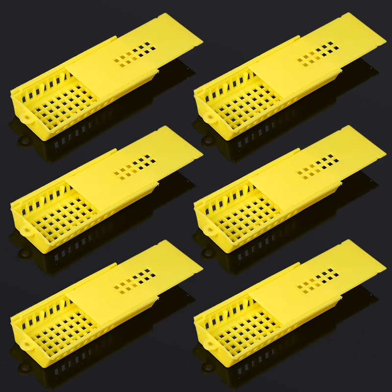 6-12PCS Beekeeping Transport Cage Plastic King Prisoner Bee Queen Post Cell Catcher Room Cage Beekeeping Equipment