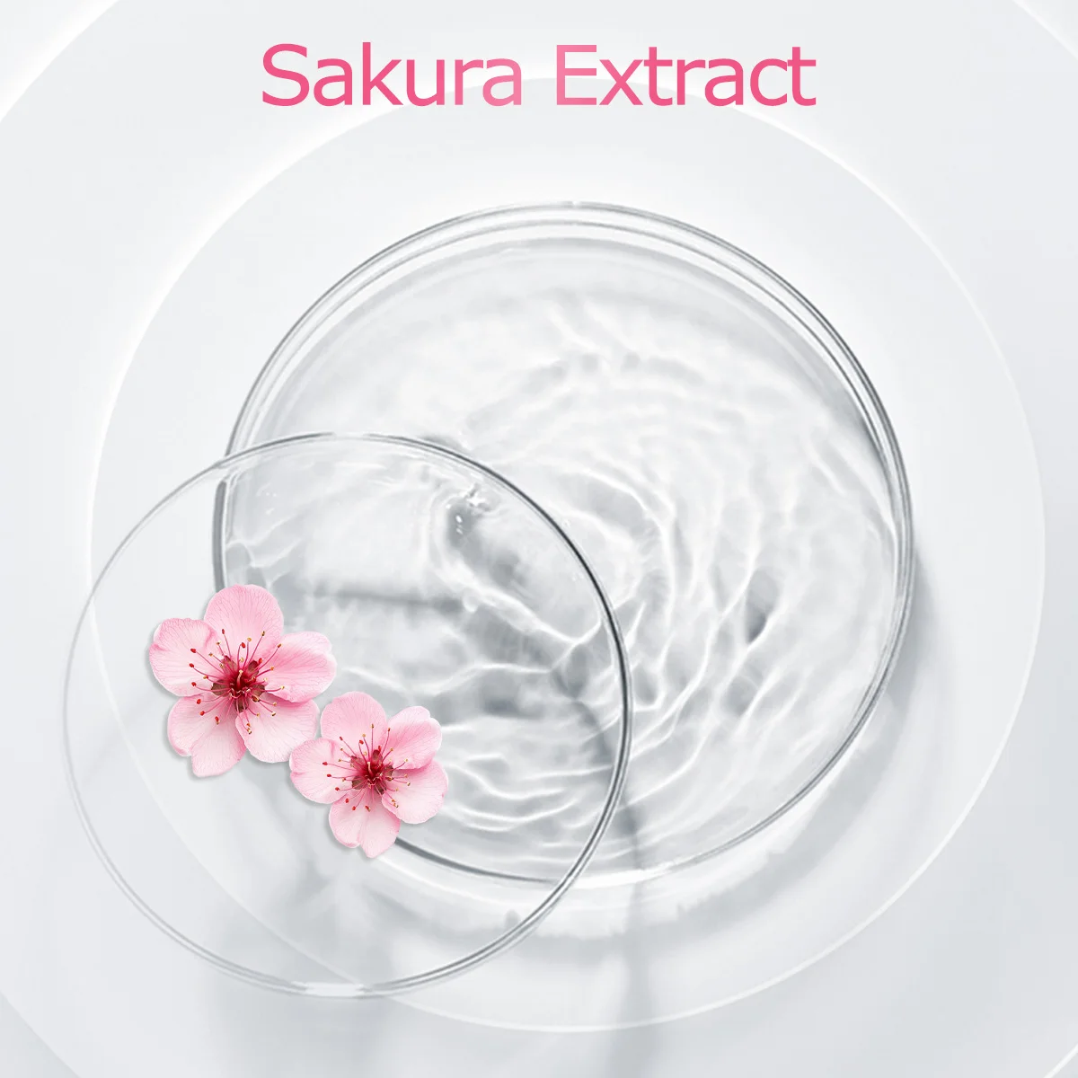 زيت ساكورا العطري عبارة عن زيت أساسي غني ومتعدد الاستخدامات يمكن استخدامه أيضًا في أجهزة توزيع الزيوت العطرية وأجهزة صنعها بنفسك #3