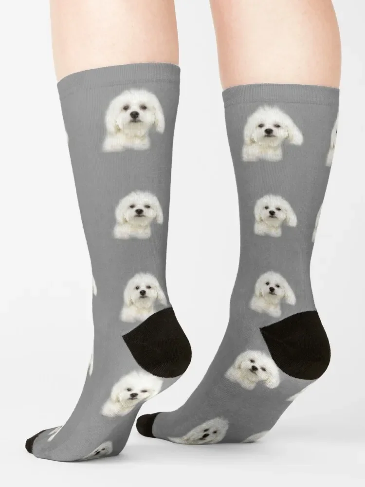 Maltese puppy Socks christmas gifts japanese fashion sports stockings winter thermal Socks For Girls Men's