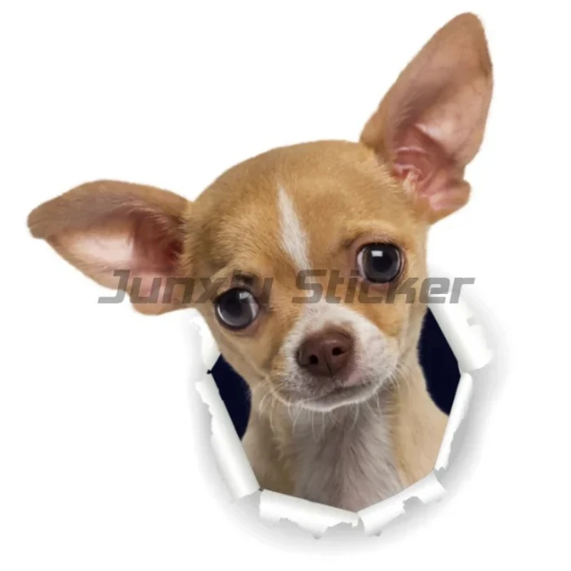 Wasserdichter Autoaufkleber mit Chihuahua-Hund, für Motorrad, Laptop, dekorativer Aufkleber