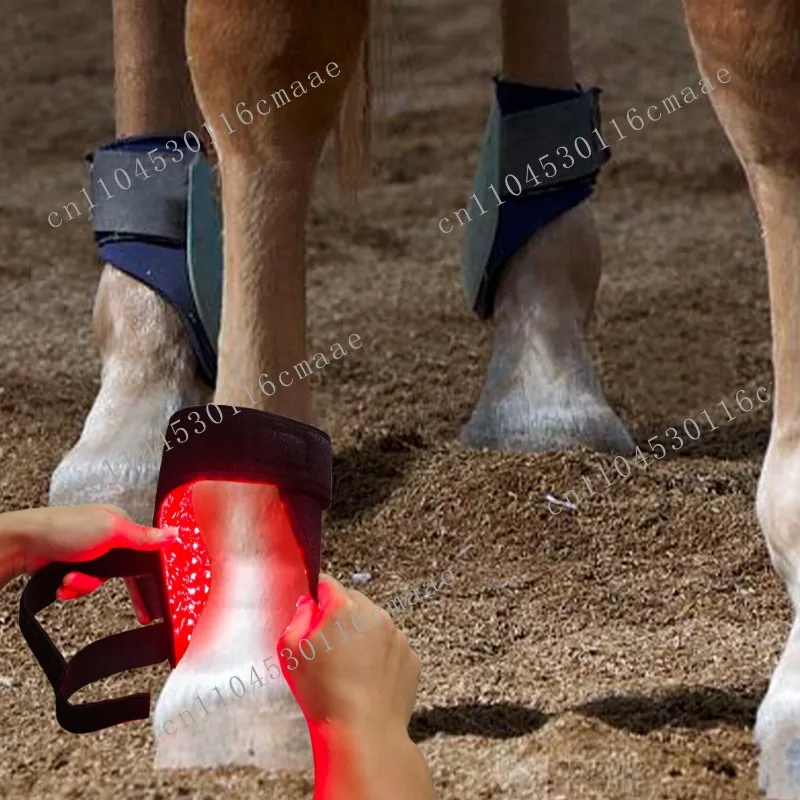 Professional Grade Handheld Red Light Therapy Device for Horse Shank Tendons, 96pcs LEDs, 660nm/850nm, 10W, USB, Pain Relief