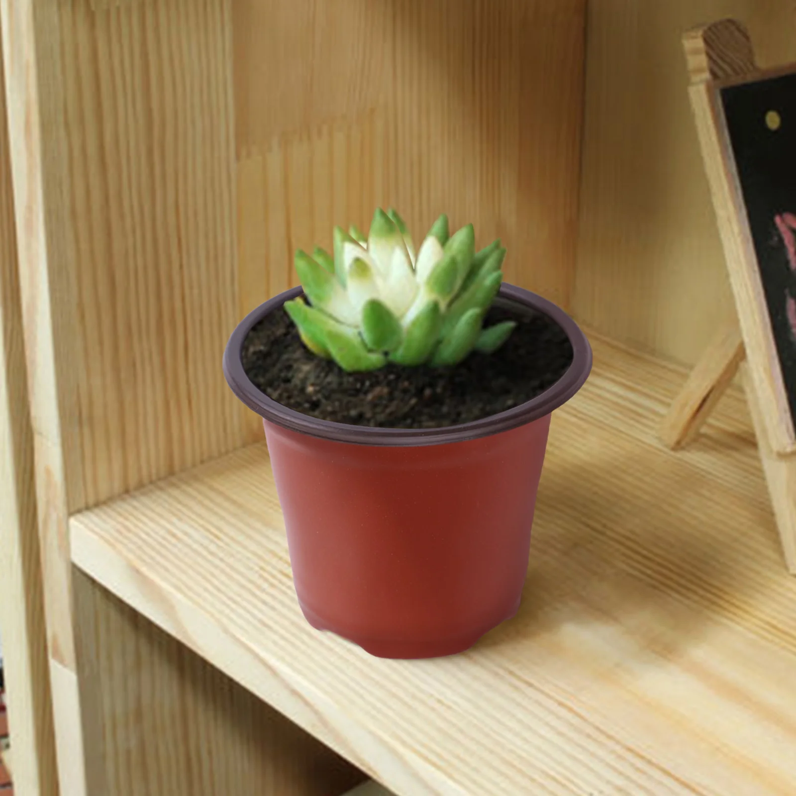 100pc Plant Pots Small Terracotta Plastic Flower Pot Cactlus Tiny Nursery Transplant Flower Pots Fall Resistant Tray Grow Box