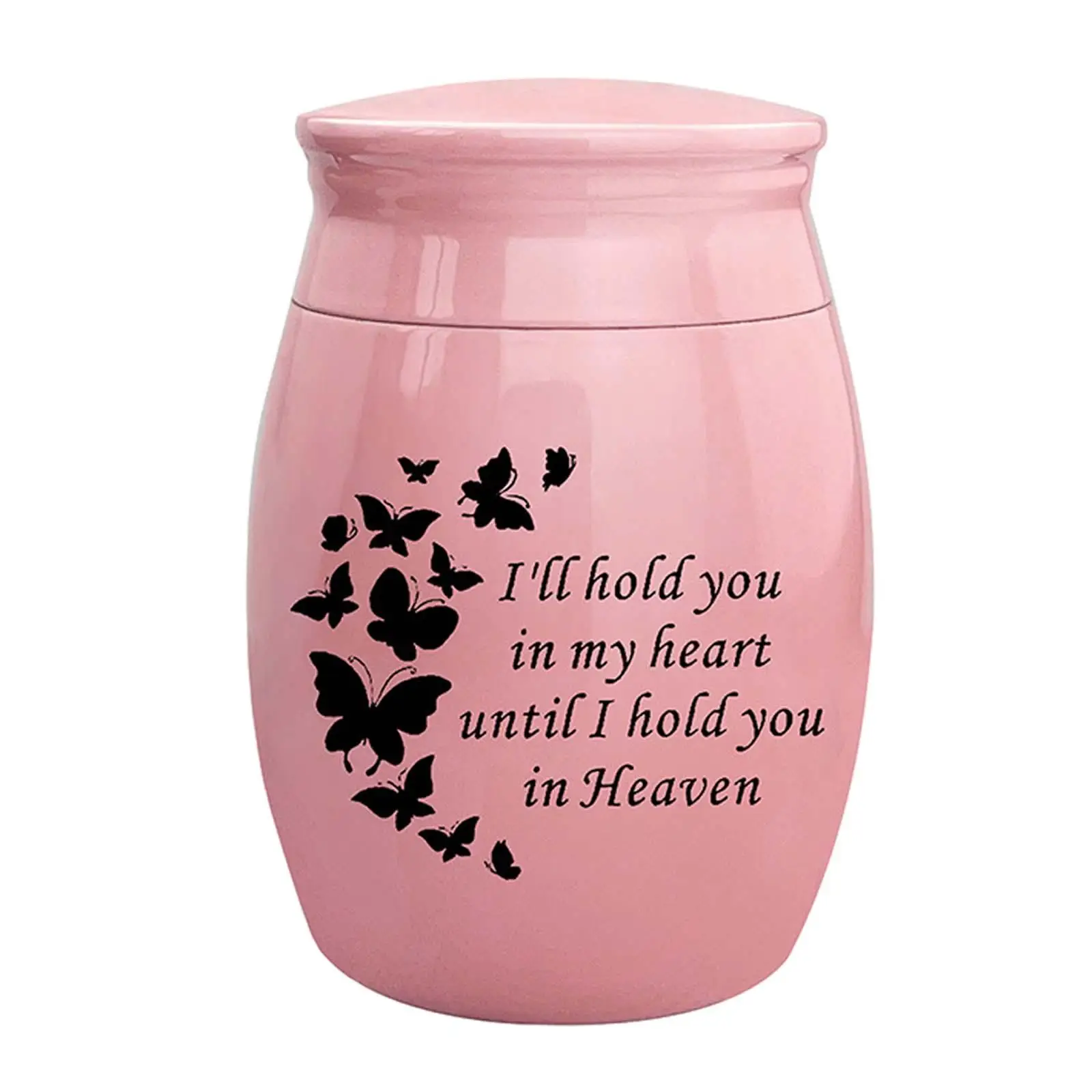 Small Pet Urn for Dog Ashes Cat Kitten Memorial Container Zinc Alloy Modern Storage Jar