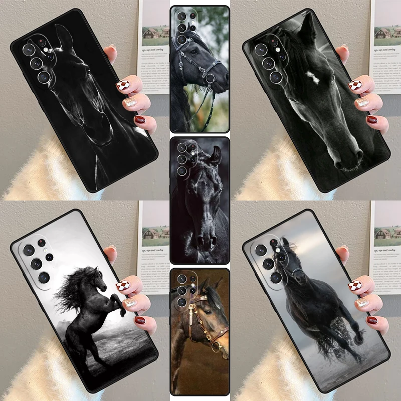 Beautiful Black Hor… - image