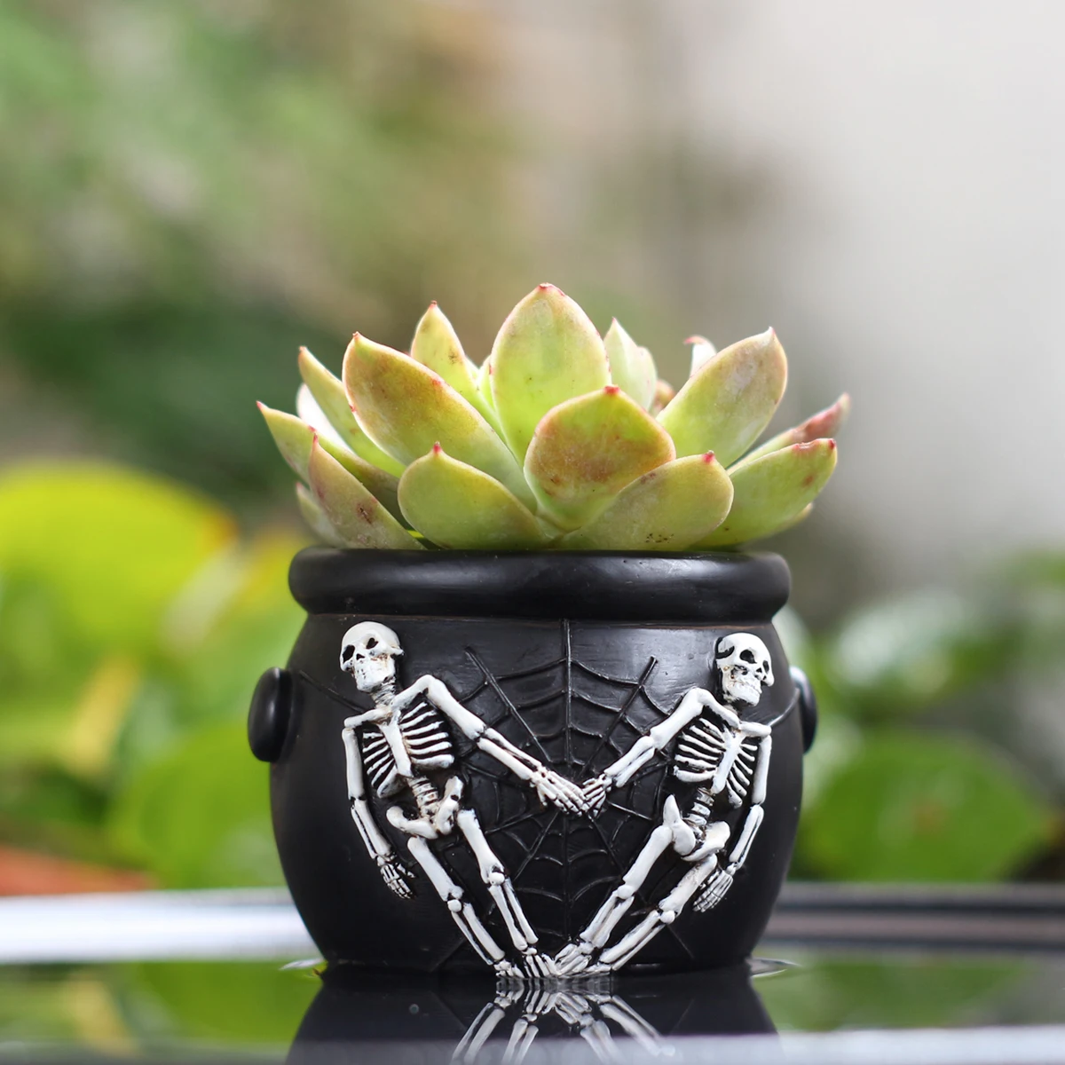 1pc Halloween Skeleton Cauldron Resin Succulent Planter Pot Spider Web Gothic Outdoor Garden Home Desktop Decor