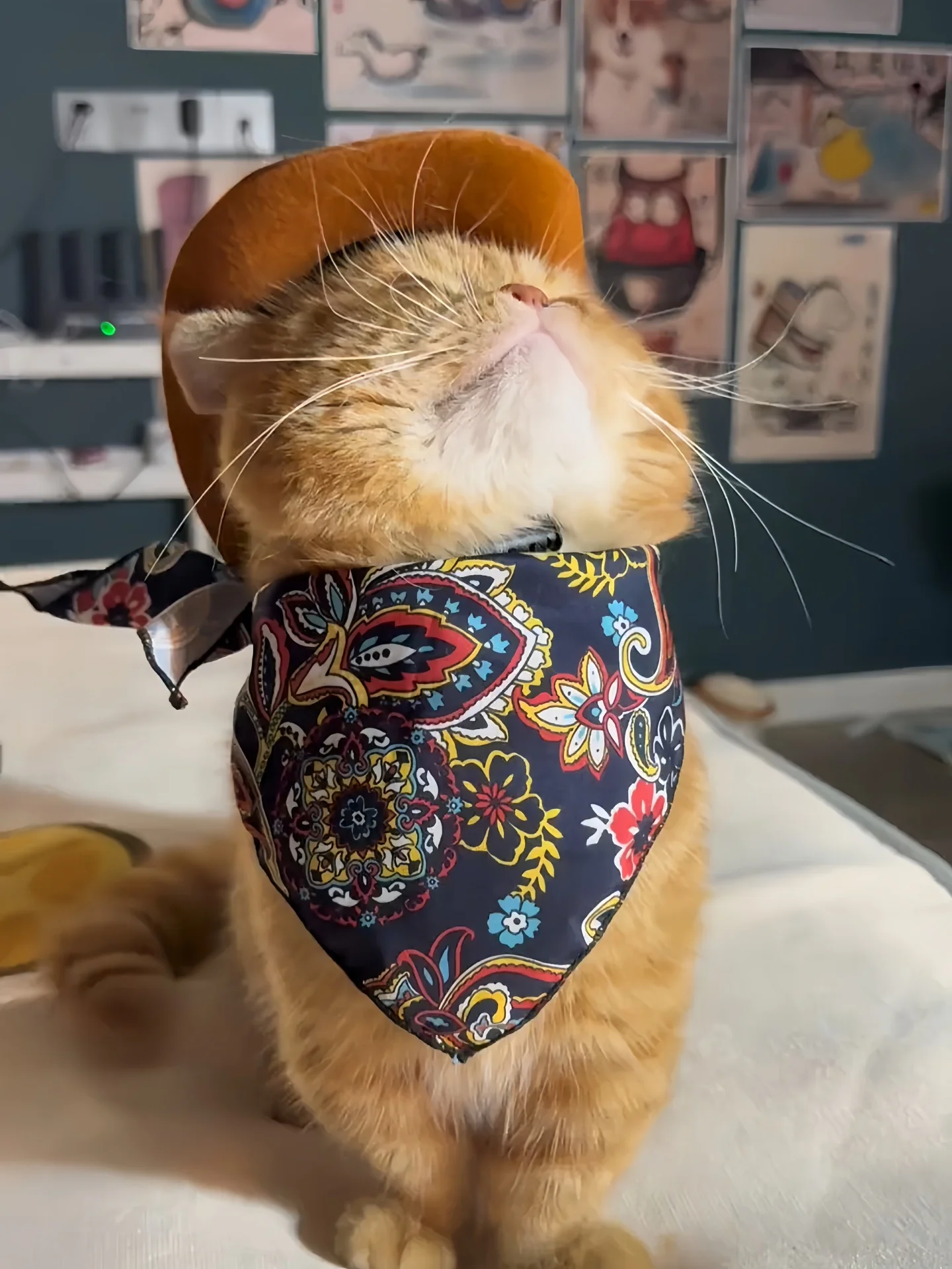 Disfraz de Vaquero del Oeste para Mascotas, Sombrero, Pañuelo, Toalla para la Saliva, Gorra de Transformación para Fotografía, Suministros para Mascotas, Accesorios para Disfraces de Perro