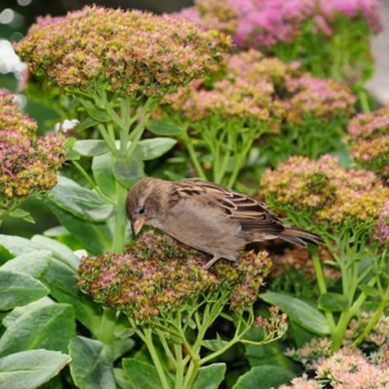 5 SZT. Zestaw dekoracji do samochodów RC: beczka na olej, łopata, butla z azotem do modeli RC 1/10 Crawler SCX10 TRX4