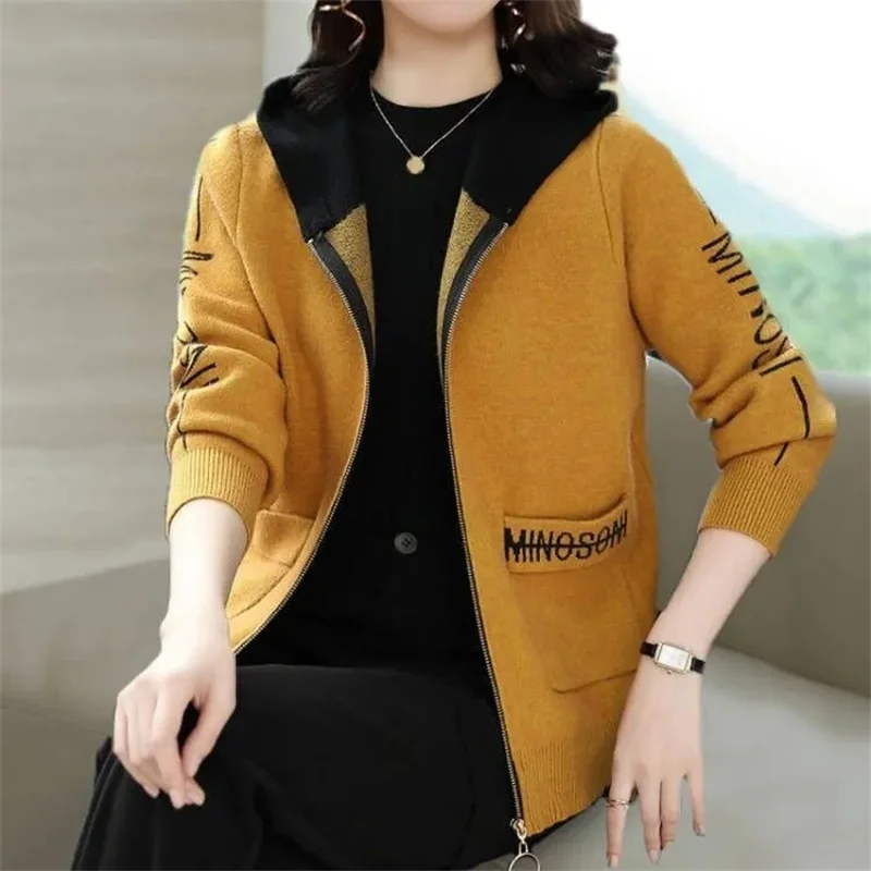 Herbst Winter Dame Lmitation Nerz Pelzmantel koreanische Frauen Mode Strickjacke 2024 weibliche Kapuze lange Ärmel Strick Cardigans