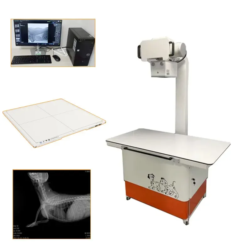 Animal hopital digital radiography DR x ray Imaging of Animals Veterinary X-ray machine for animals