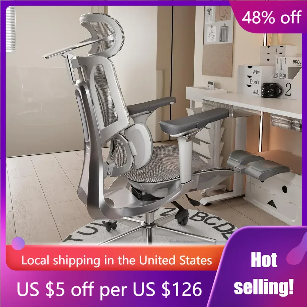 

Ergonomic Office Chair with Dynamic Lumbar Support, Family 4D Adjustable Headrest, 6D Adjustable Armrest Office Chair Gray