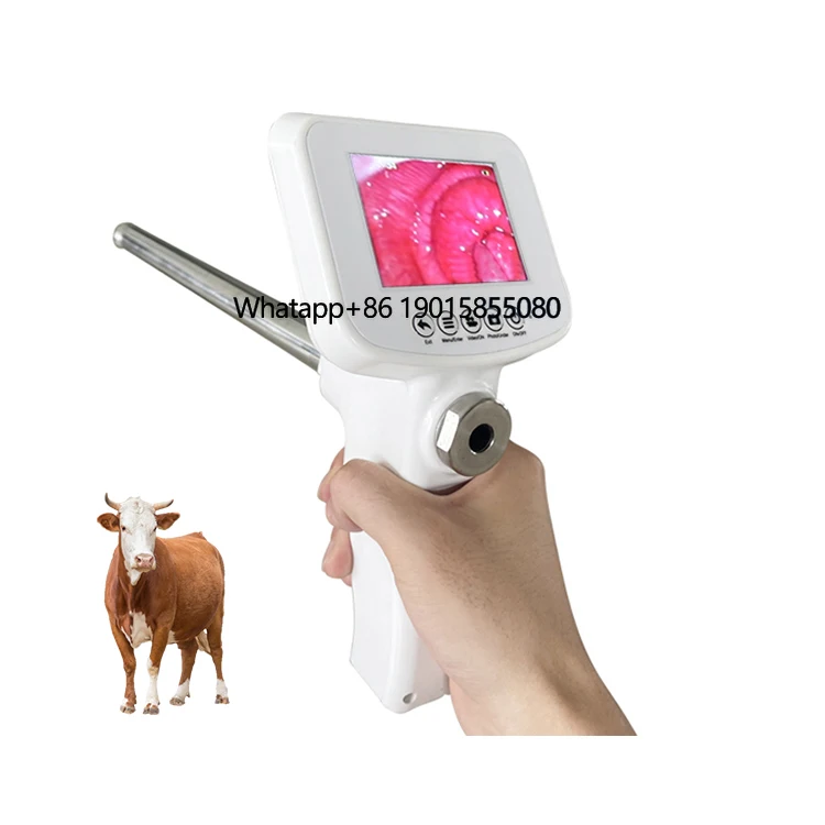 

Portable Vet AI Device Tube Bovine Cow Cattle Veterinary Instrument Visual Artificial Insemination for Livestock