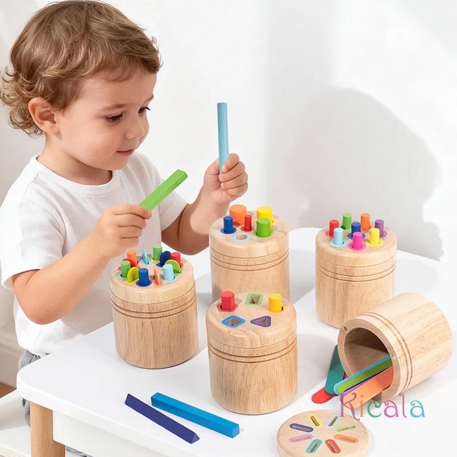 Montessori kleursorteerspeelgoed voor kinderen voor peuters |   Houten speelgoed voor fijne motoriek voor kinderen Educatief zintuiglijk leerspelcadeau