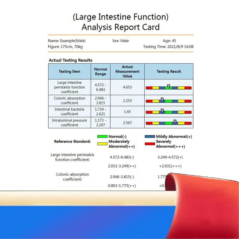 QMR-998 Quantum Resonance Magnetic Analyzer Set Hand Touch Quantum Body Analyzer With 52 Reports 10Th Generation-X62A