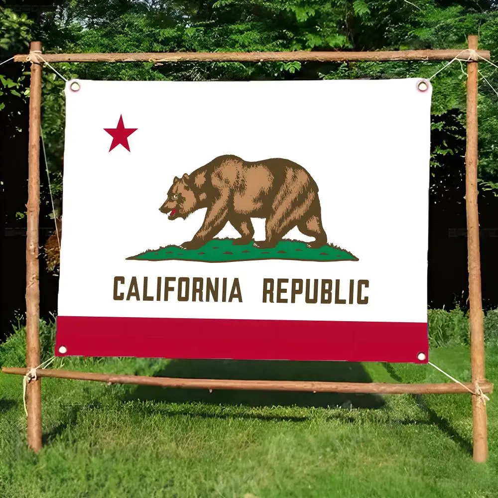 California Flags Daily four ring borderless design indoor outdoor decor easy hang install