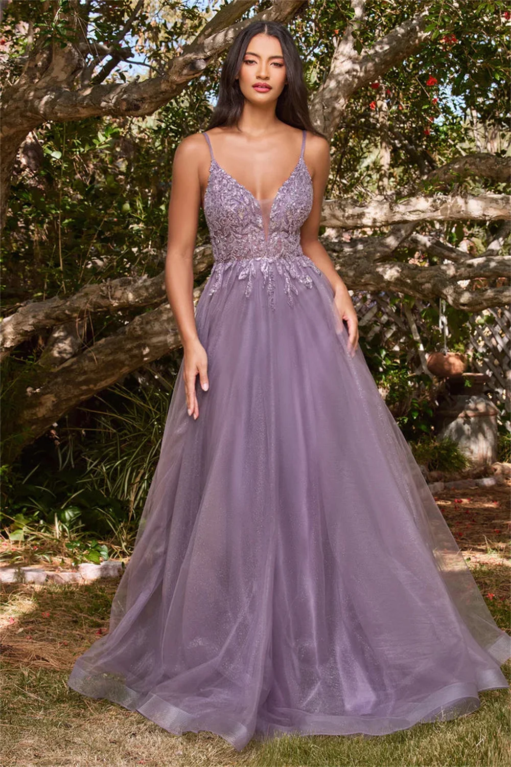 Tulle Spaghetti Straps V-Neck Prom Dresses Lace Appliques Sheer Corset Sleeveless Formal Ball Gowns A-line Long Evening Gowns