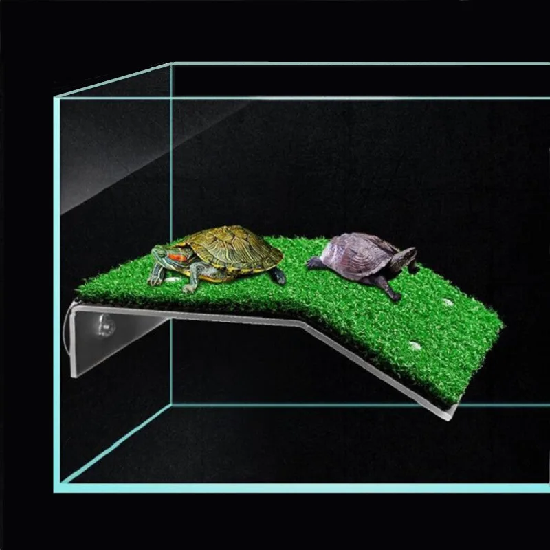 Plataforma de escalada de tortugas para césped y pecera, plataforma de escalada con ventosa, simulación de rampa de tortuga para césped, escalera para acuario