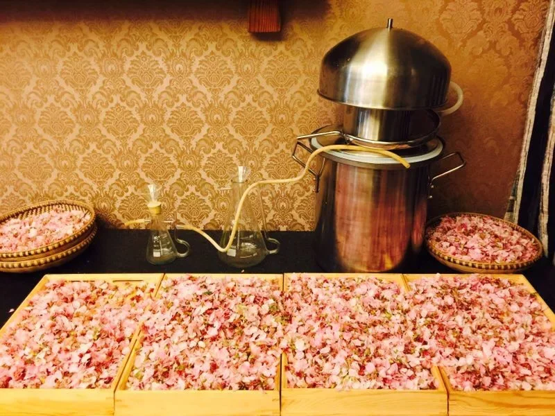 

20L 304 Stainless Steel Hydrosols Machine Rose Essential Oil Extractor Home Essential Wine Distiller Boiler Food Grade